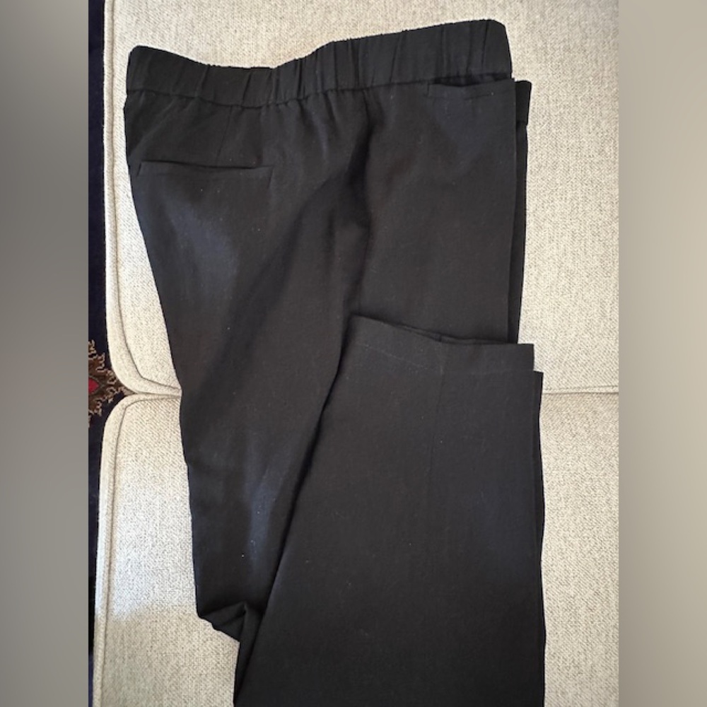 Eileen Fisher Black 100% Tencel Zip Front Pants NNT Never Worn LARGE. NEW